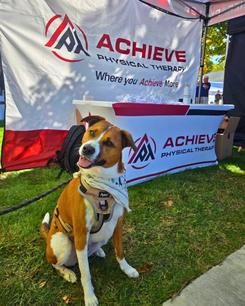 dog sitting next to Achieve Physical Therapy's tent during the Bedford Days community event